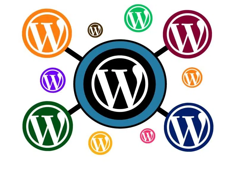 Cursos y Plugins de WordPress